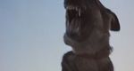 sarandora_ikarinobeast3.jpg